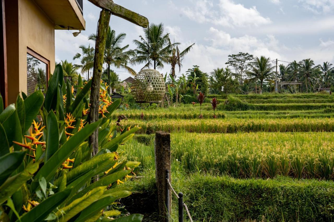 Barong Bali Villas 우붓 외부 사진